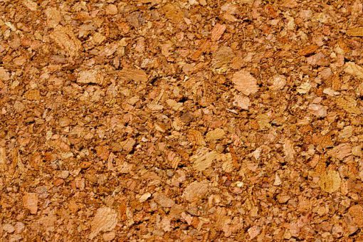 Cork sandals WHAT IS CORK